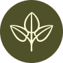 100% Plant-Derived Ingredients