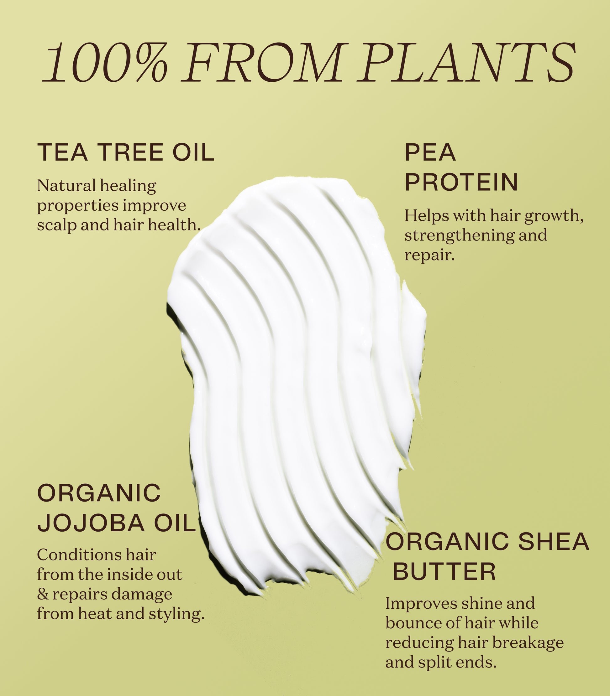 Promotional graphic, part one, highlighting the Daily Conditioner's features for Amazon