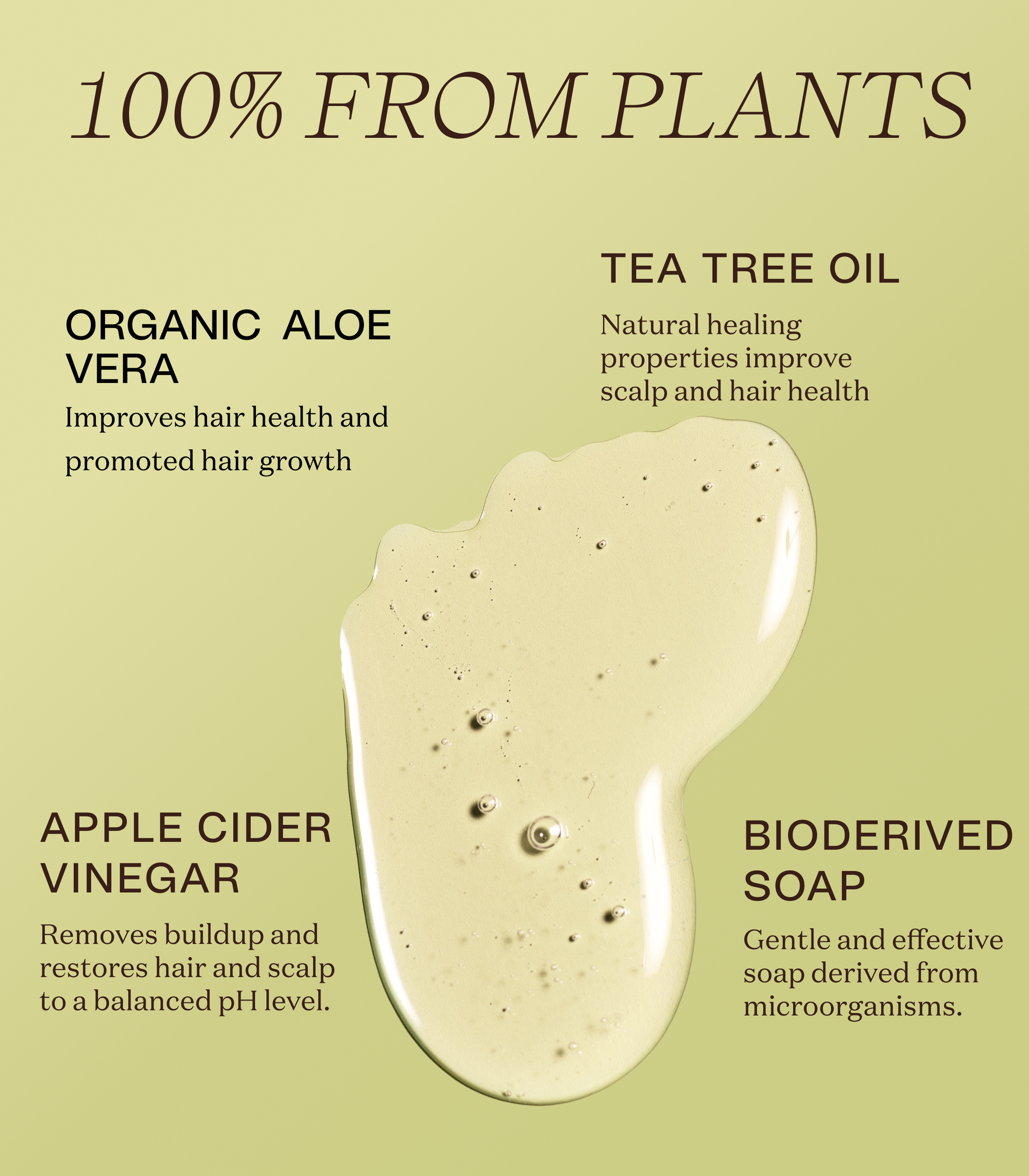 Graphic showing a close-up of the Daily Shampoo texture or lather