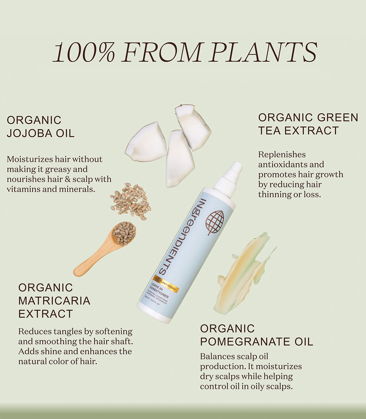 Graphic detailing the key ingredients of the Leave-In Detangling Conditioner