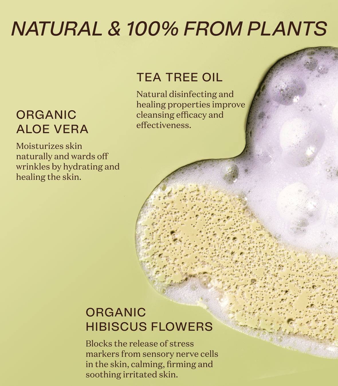 Nourishing Body Wash